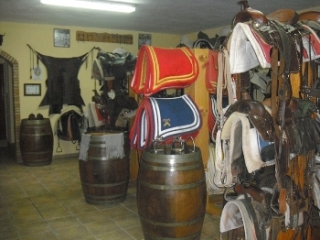 Guadarnes de material hipico.jpg